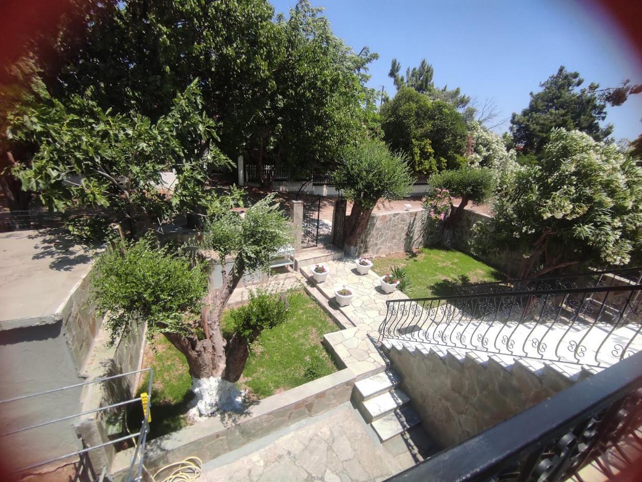 Sunrise Appartement Vergia